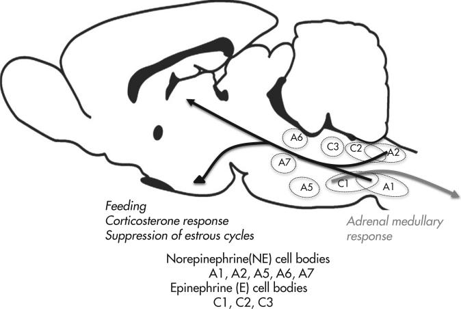 FIG 2-2