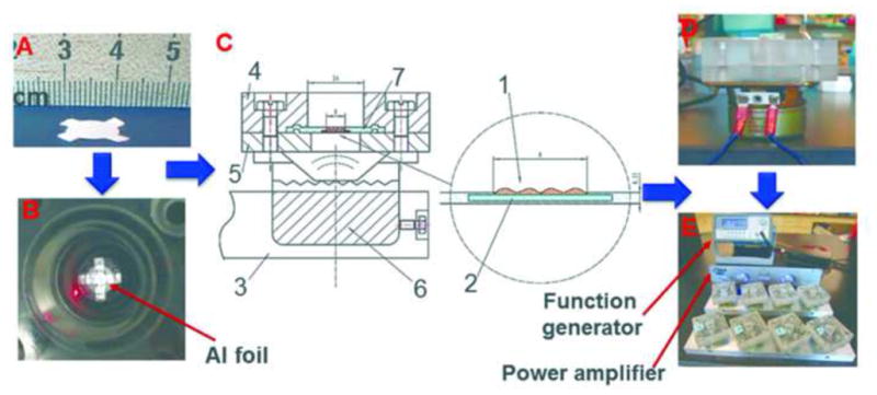 Fig. 2