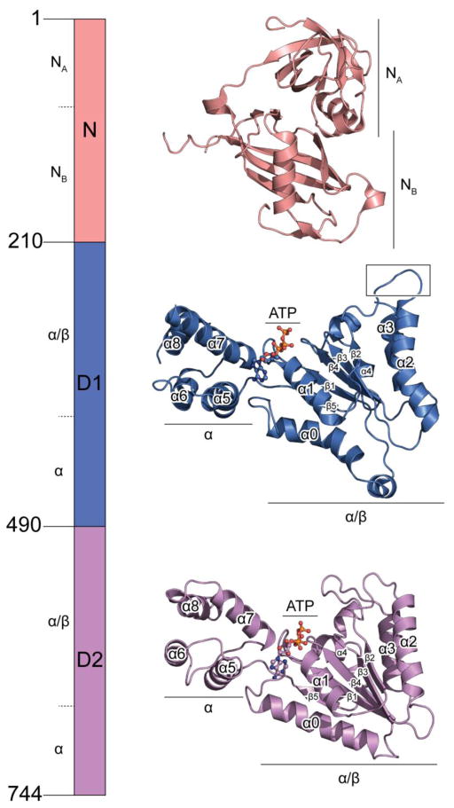 Fig. 1