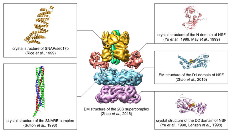 Fig. 3