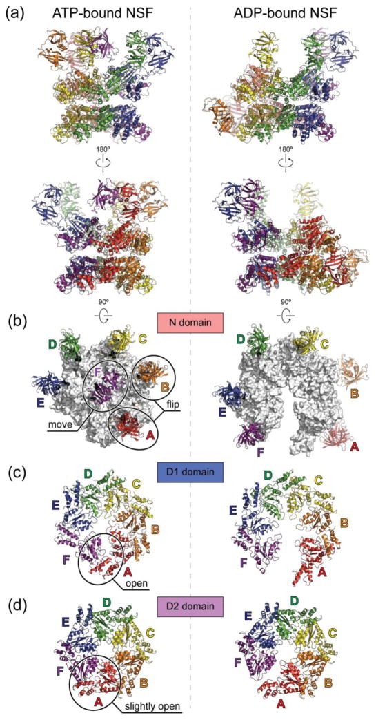 Fig. 4