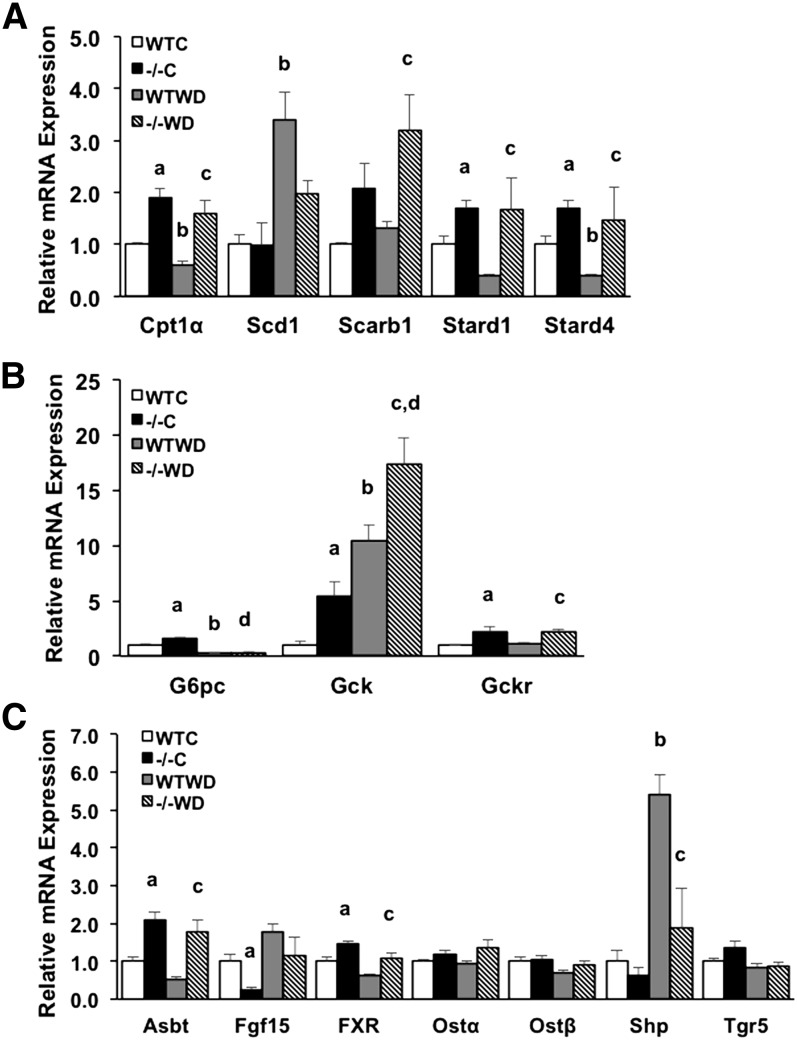 Fig. 8.