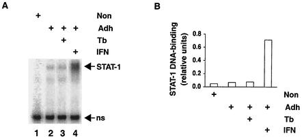 FIG. 1.