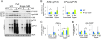 FIG 3