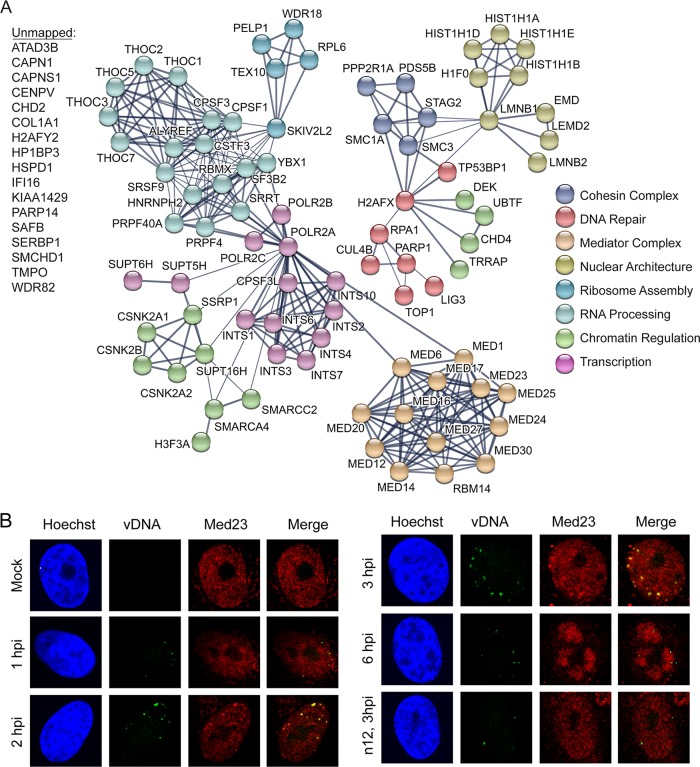 FIG 3 