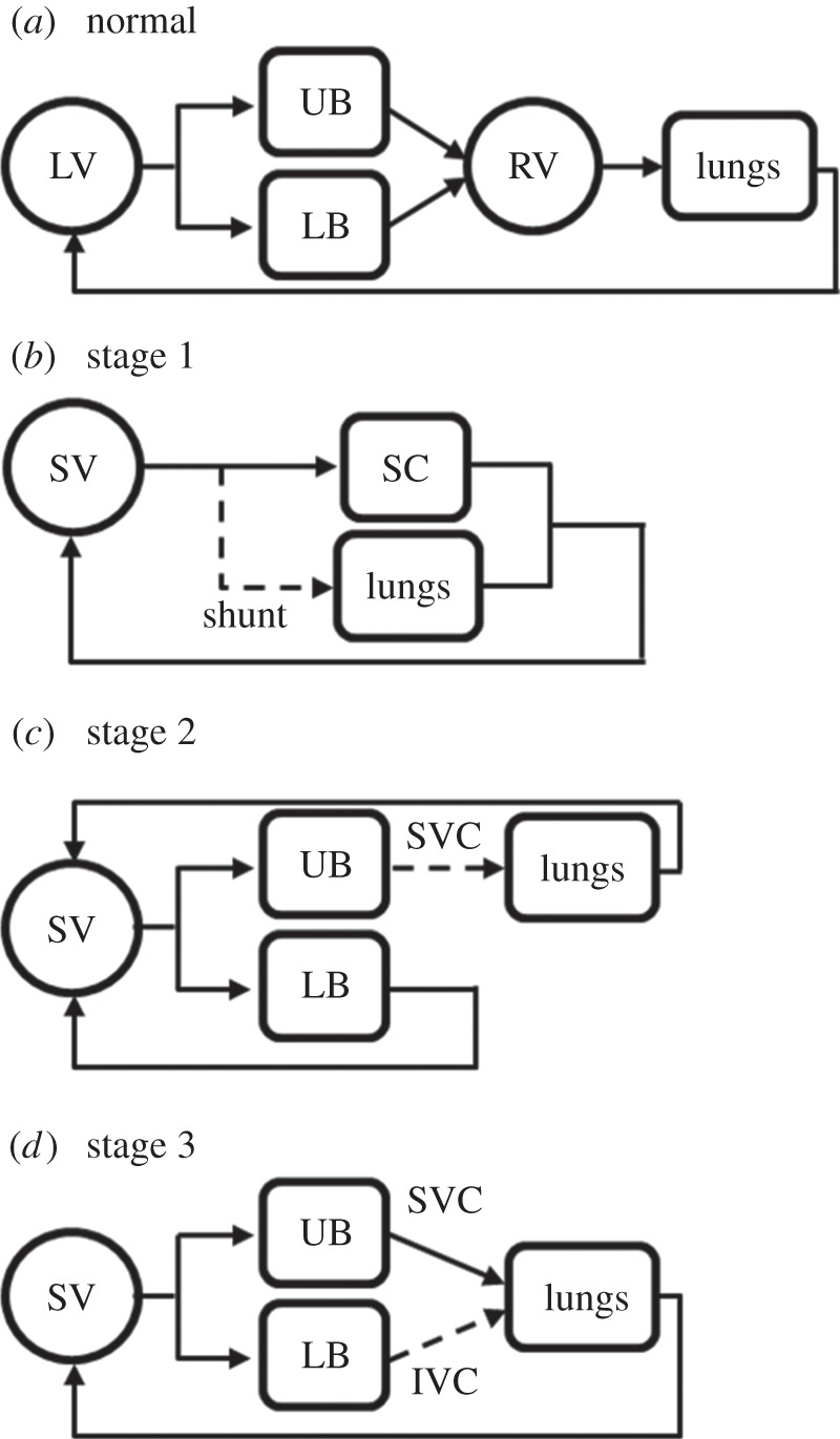 Figure 1.