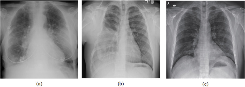 Fig. 10