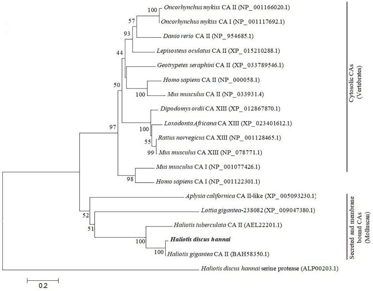 FIGURE 3