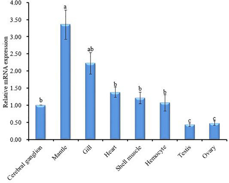 FIGURE 5