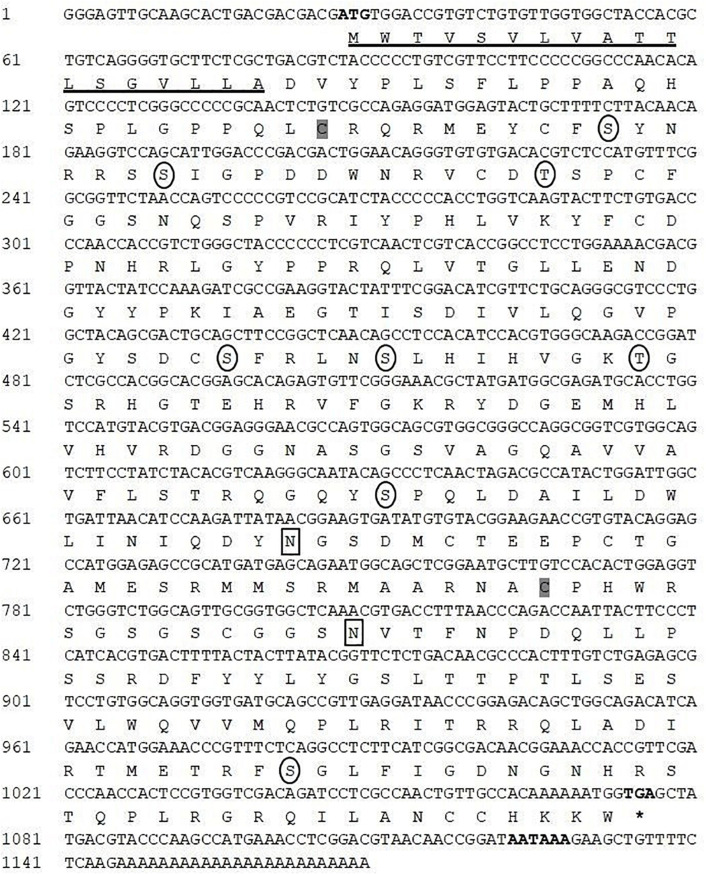 FIGURE 1