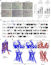 Fig. 3 |