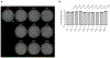 Extended Data Fig. 4 |