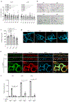 Extended Data Fig. 8 |