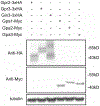 Extended Data Fig. 7 |
