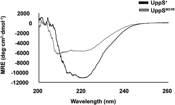 FIG 9