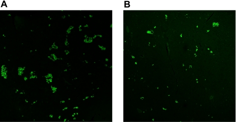 Fig. 11.