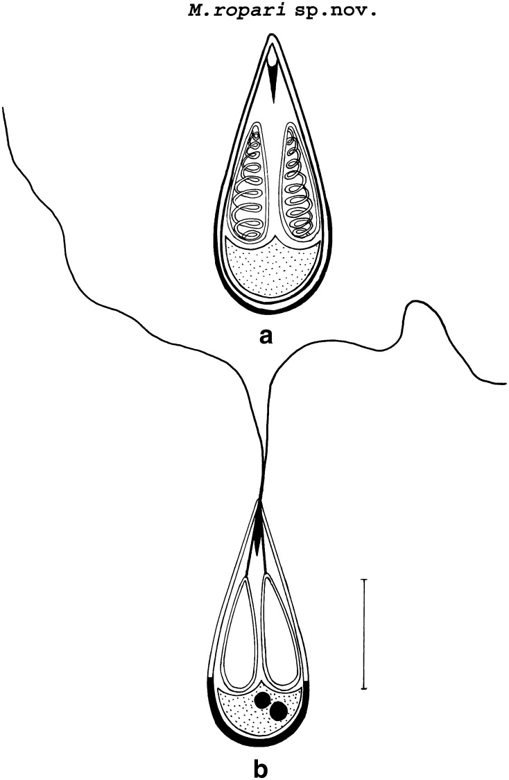 Fig. 3