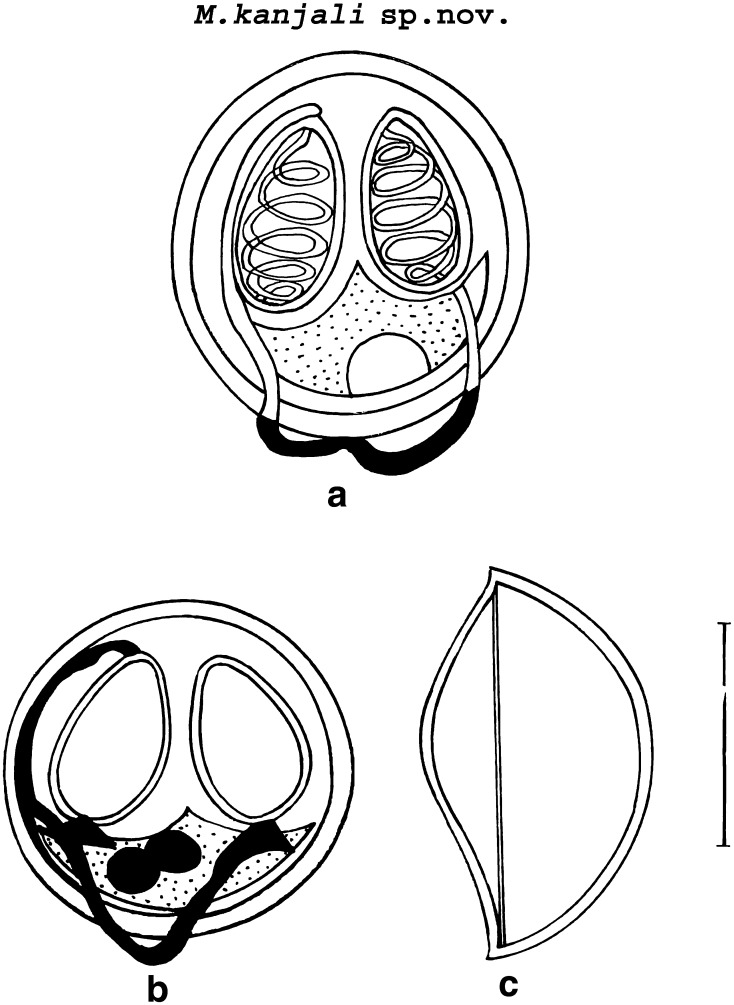 Fig. 4