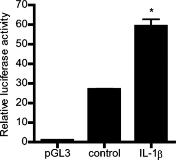 Fig 5