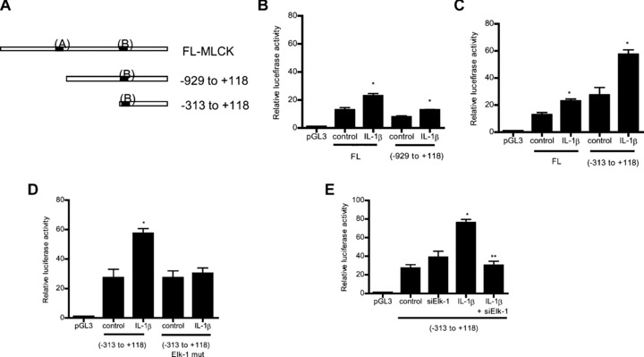 Fig 11