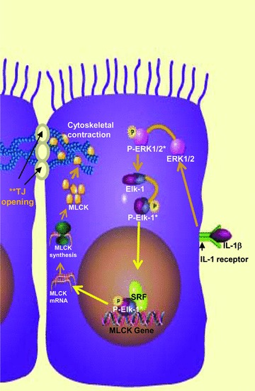 Fig 12