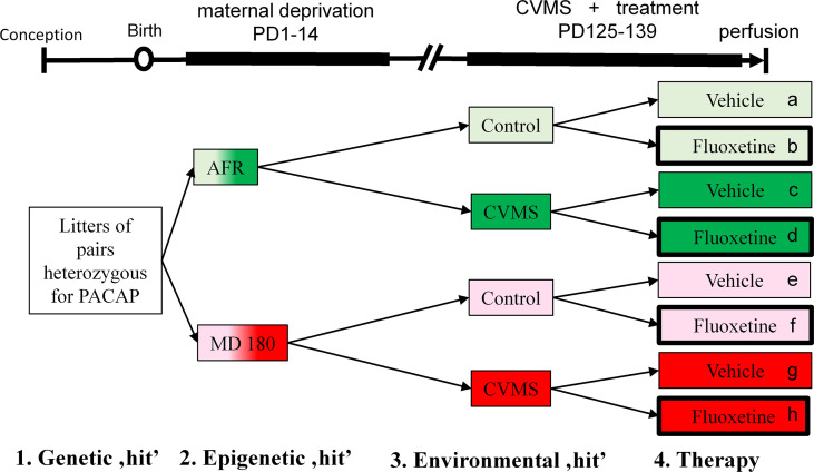 Figure 1