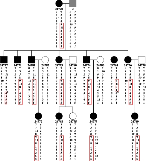 Fig. 1