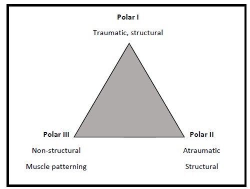 Fig. (1)