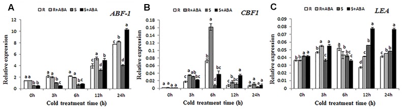 FIGURE 6