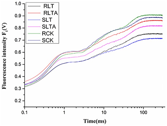 FIGURE 4