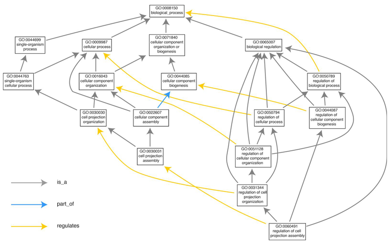 Figure 1: