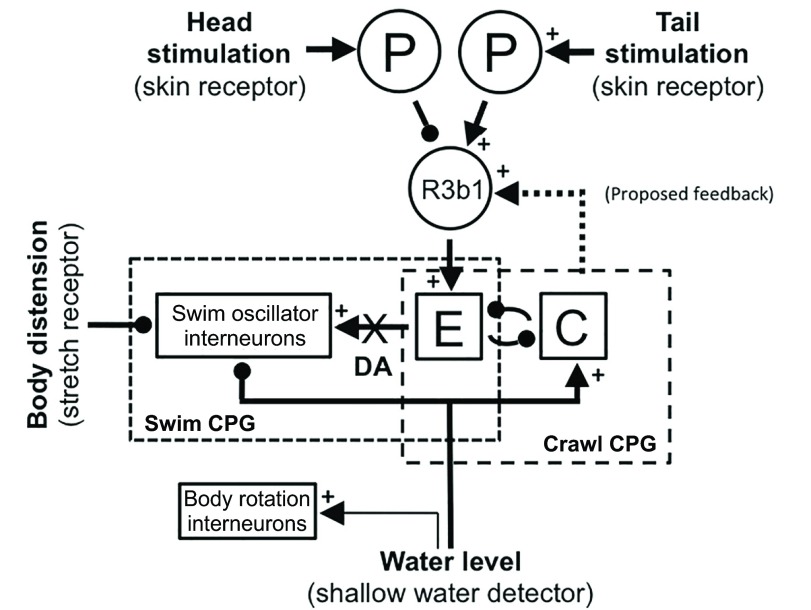 Fig. 8.