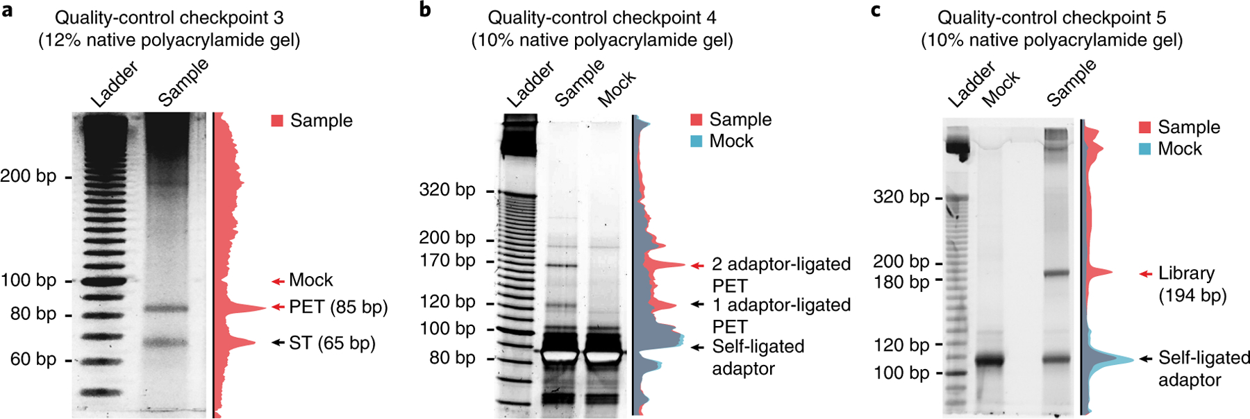 Fig. 2 |