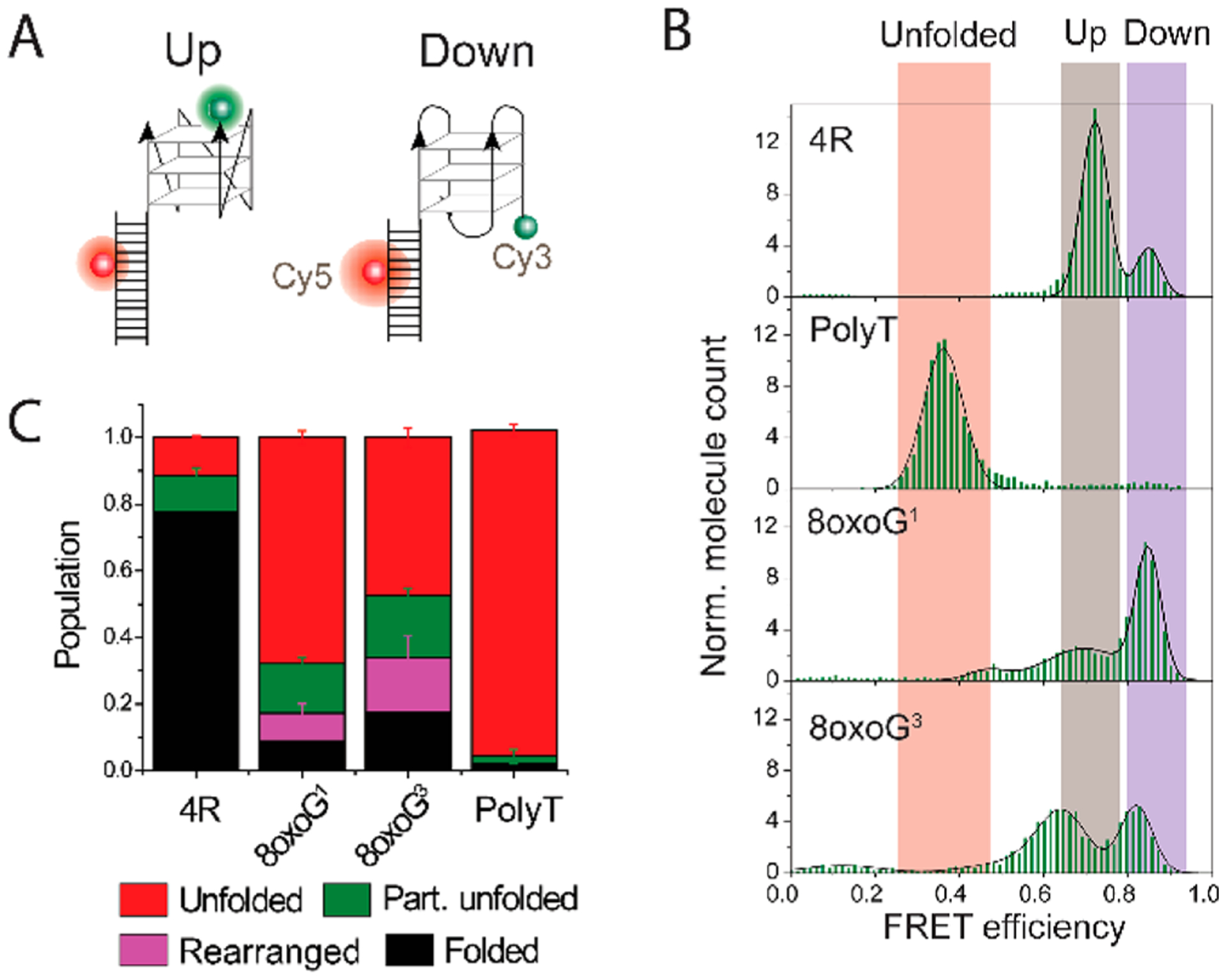 Figure 5.