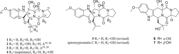 FIGURE 1