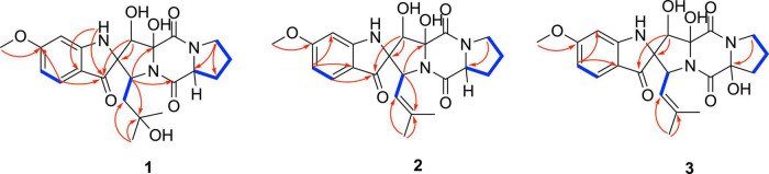 FIGURE 2