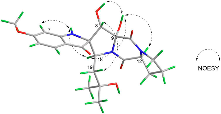 FIGURE 3