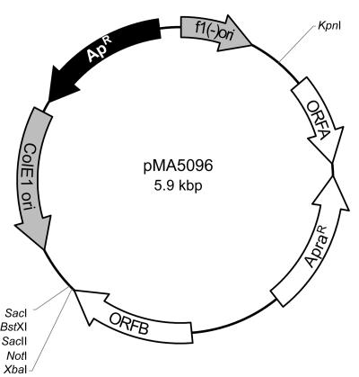 FIG. 1.