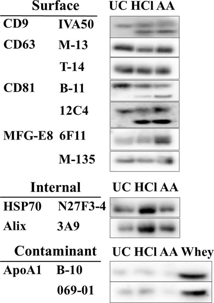 Fig 5