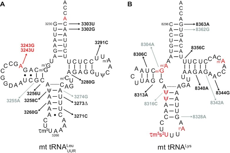 Figure 9.