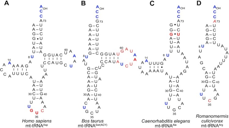 Figure 5.