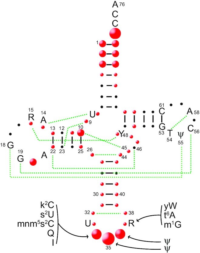 Figure 3.