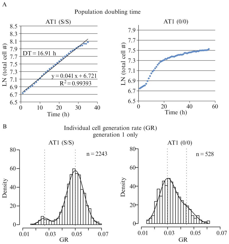 Figure 2.6