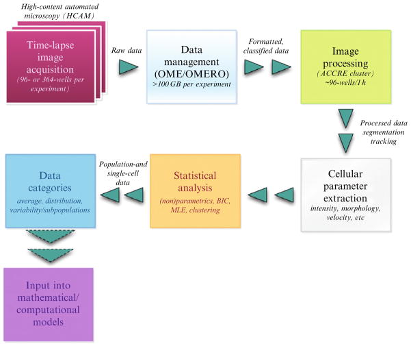 Figure 2.1