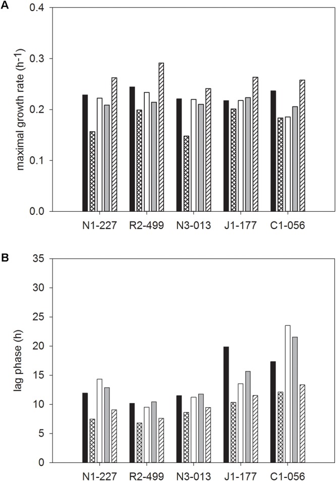 FIGURE 4