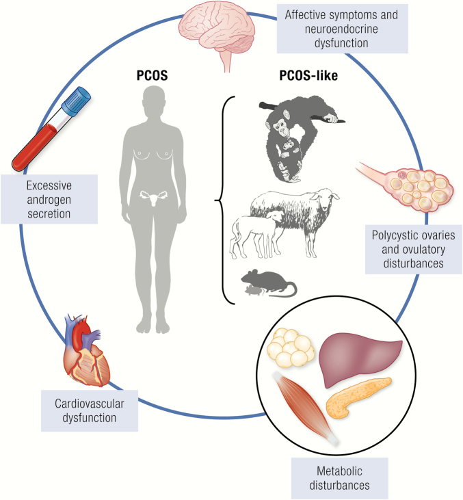 Graphical Abstract