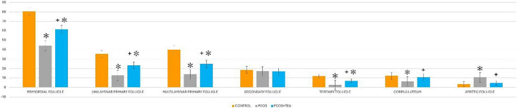 graphic file with name 43032_2025_1885_Tab1_HTML.jpg