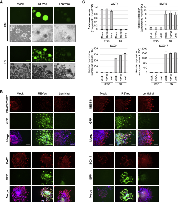 Figure 3