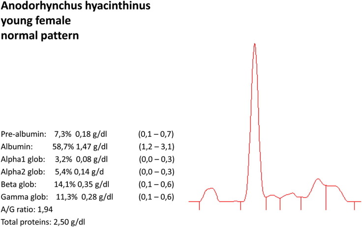 Fig. 5