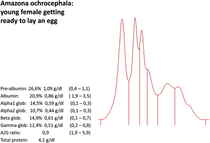 Fig. 6